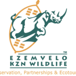 kzn logos correct colours kzn logos correct colours