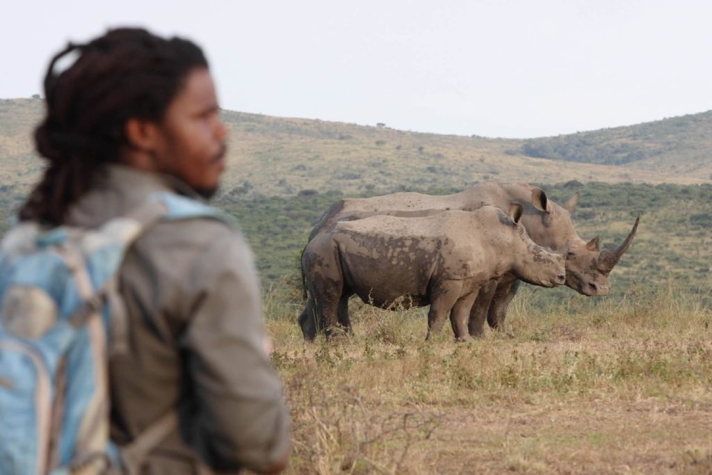 Hluhluwe-iMfolozi Rhino anti-poaching supported by the Isibindi Foundation (travelling with purpose)