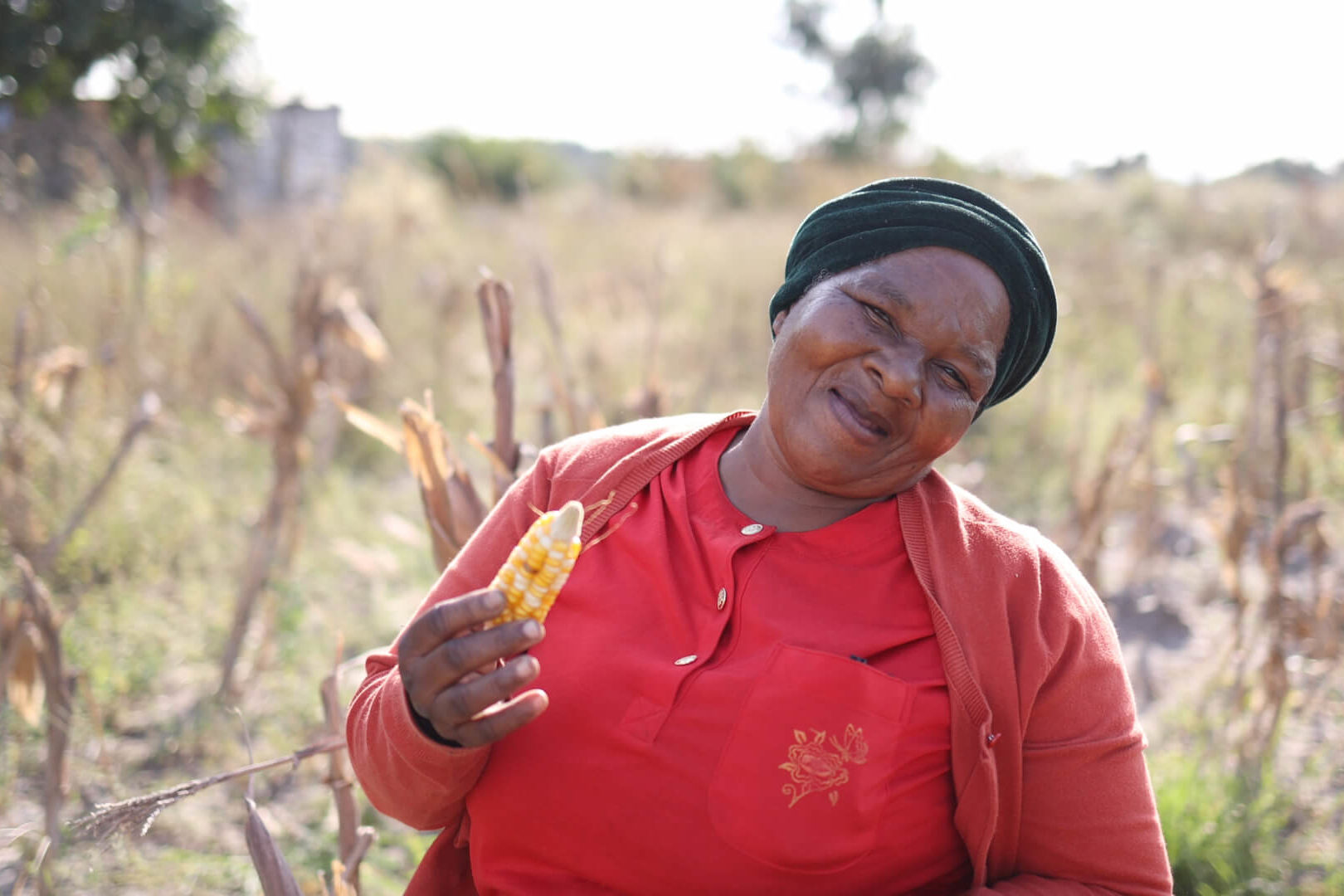 Vulindlela Vegetable Garden supported by the Isibindi Foundation (travelling with purpose)